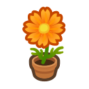Orange Cosmos Plant Animal Crossing New Horizons | ACNH Critter - Nookmall