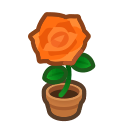 Orange Rose Plant Animal Crossing New Horizons | ACNH Critter - Nookmall