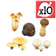 All Mushroom Pack x10
