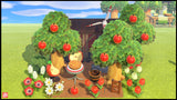 Mini Apple Picnic Set