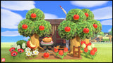 Mini Apple Picnic Set