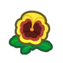 Yellow Pansies