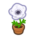 White Windflower Plant Animal Crossing New Horizons | ACNH Critter - Nookmall