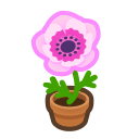 Pink Windflower Plant Animal Crossing New Horizons | ACNH Critter - Nookmall