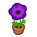 Purple Windflower Plant Animal Crossing New Horizons | ACNH Critter - Nookmall