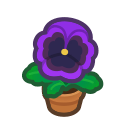 Purple Pansy Plant Animal Crossing New Horizons | ACNH Critter - Nookmall