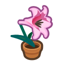 Pink Lily Plant Animal Crossing New Horizons | ACNH Critter - Nookmall