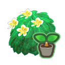 White Plumeria Start Animal Crossing New Horizons | ACNH Critter - Nookmall
