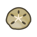 Sand Dollar Animal Crossing New Horizons | ACNH Critter - Nookmall