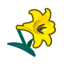 Yellow Lilies