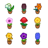 All 54 Flowers