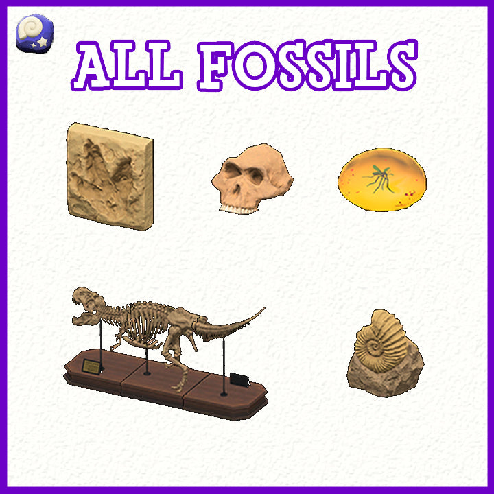 Paquete completo de fósiles ACNH - Animal Crossing 73 Fossils