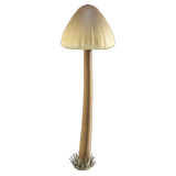 Mush Lamp DIY Recipe