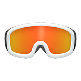 Ski Goggles