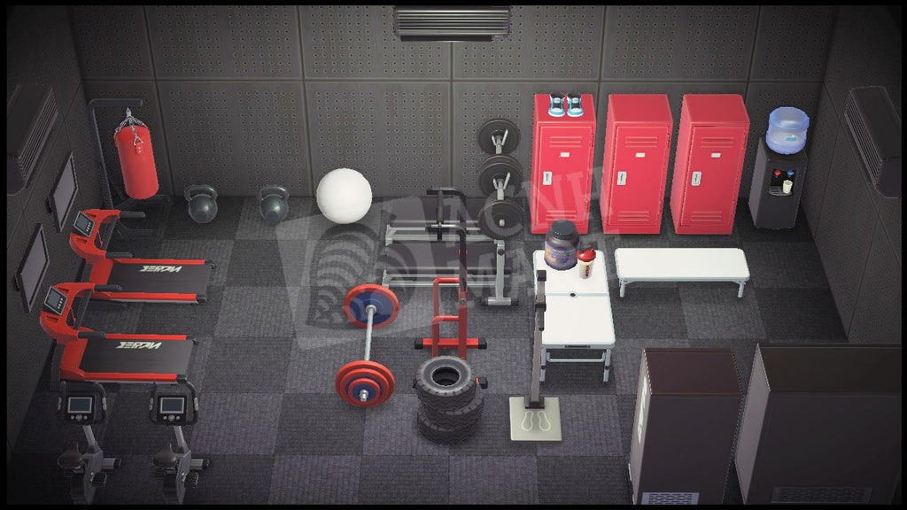 Basement Gym