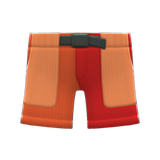 Multicolor Shorts