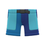 Multicolor Shorts