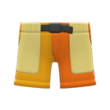 Multicolor Shorts