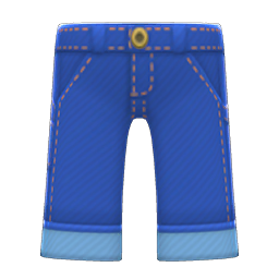 Denim Painter's Pants