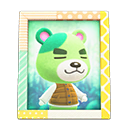 Murphy's Photo Animal Crossing New Horizons | ACNH Items - Nookmall