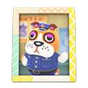 Booker's Photo Animal Crossing New Horizons | ACNH Items - Nookmall