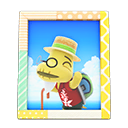 Tortimer's Photo Animal Crossing New Horizons | ACNH Items - Nookmall