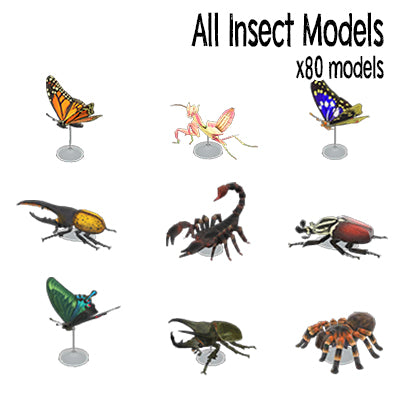 All Insect Models