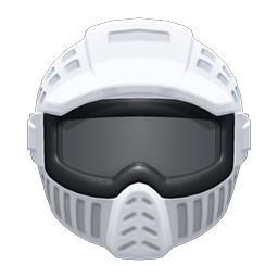 Paintball Mask
