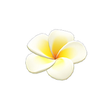 Plumeria Hairpin
