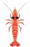 Sweet Shrimp Animal Crossing New Horizons | ACNH Critter - Nookmall