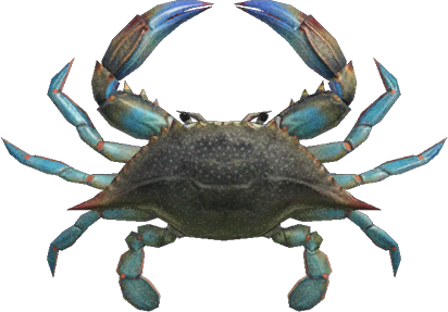 Gazami Crab Animal Crossing New Horizons | ACNH Critter - Nookmall