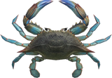 Gazami Crab Animal Crossing New Horizons | ACNH Critter - Nookmall