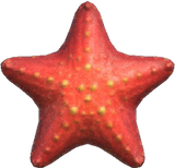 Sea Star Animal Crossing New Horizons | ACNH Critter - Nookmall