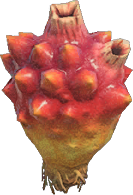 Sea Pineapple Animal Crossing New Horizons | ACNH Critter - Nookmall
