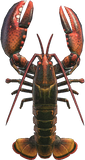Lobster Animal Crossing New Horizons | ACNH Critter - Nookmall
