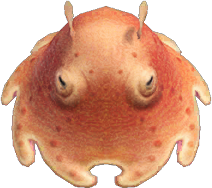 Umbrella Octopus Animal Crossing New Horizons | ACNH Critter - Nookmall