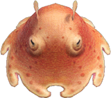 Umbrella Octopus Animal Crossing New Horizons | ACNH Critter - Nookmall