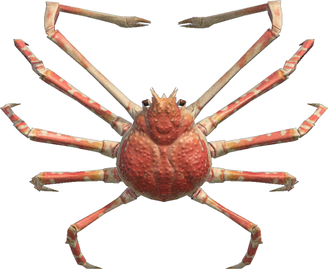 Spider Crab Animal Crossing New Horizons | ACNH Critter - Nookmall