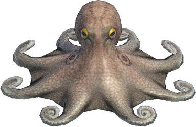 Octopus Animal Crossing New Horizons | ACNH Critter - Nookmall