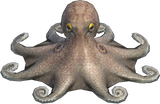 Octopus Animal Crossing New Horizons | ACNH Critter - Nookmall