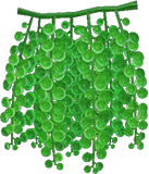 Sea Grapes Animal Crossing New Horizons | ACNH Critter - Nookmall