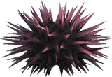 Sea Urchin Animal Crossing New Horizons | ACNH Critter - Nookmall