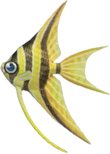 Angelfish Animal Crossing New Horizons | ACNH Critter - Nookmall