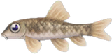 Nibble Fish Animal Crossing New Horizons | ACNH Critter - Nookmall