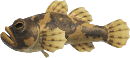 Freshwater Goby Animal Crossing New Horizons | ACNH Critter - Nookmall