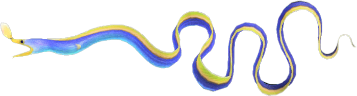Ribbon Eel Animal Crossing New Horizons | ACNH Critter - Nookmall
