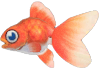 Goldfish Animal Crossing New Horizons | ACNH Critter - Nookmall