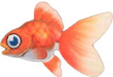 Goldfish Animal Crossing New Horizons | ACNH Critter - Nookmall