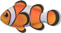 Clown Fish Animal Crossing New Horizons | ACNH Critter - Nookmall