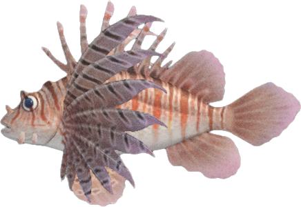 Zebra Turkeyfish Animal Crossing New Horizons | ACNH Critter - Nookmall